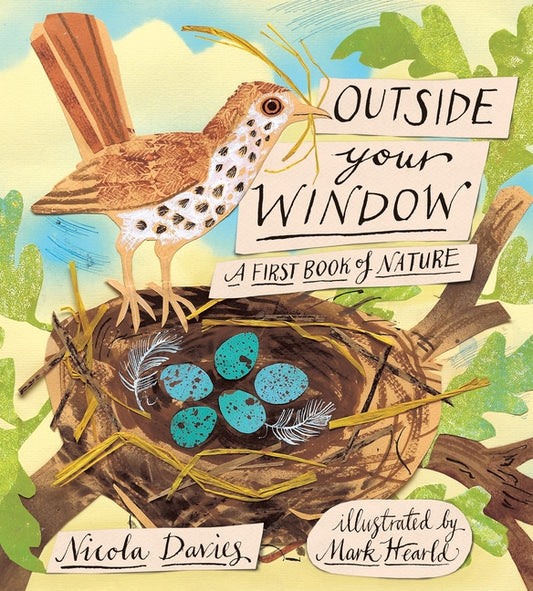 Outside Your Window: A First Book of Nature - Ingram