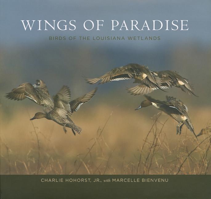 Wings of Paradise: Birds of the Louisiana Wetlands - Ingram