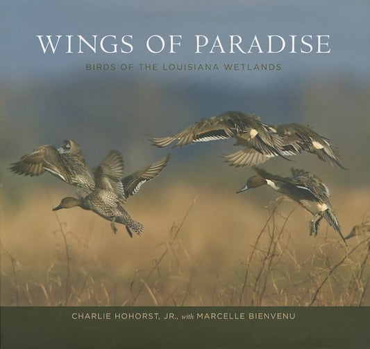 Wings of Paradise: Birds of the Louisiana Wetlands - Ingram