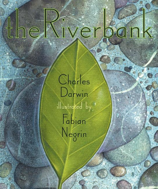 Riverbank - Ingram