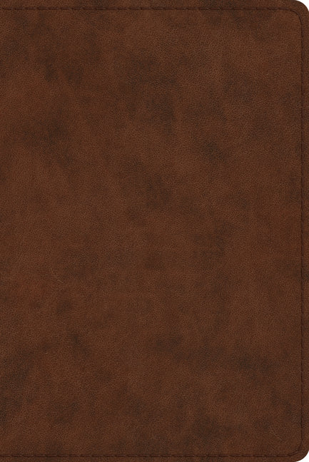 Study Bible-ESV-Personal Size - Ingram