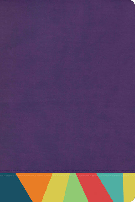 Rvr 1960 Biblia de Estudio Arcoiris, Morado/Multicolor - Ingram