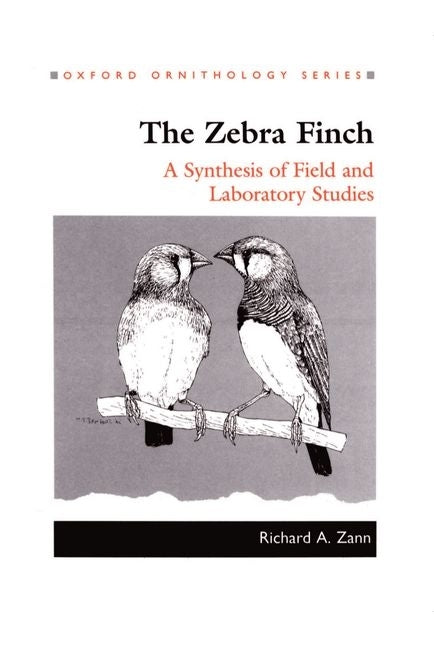 Zebra Finch: A Synthesis of Field and Laboratory Studies - Ingram