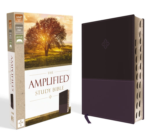 Amplified Study Bible, Imitation Leather, Purple, Indexed - Ingram