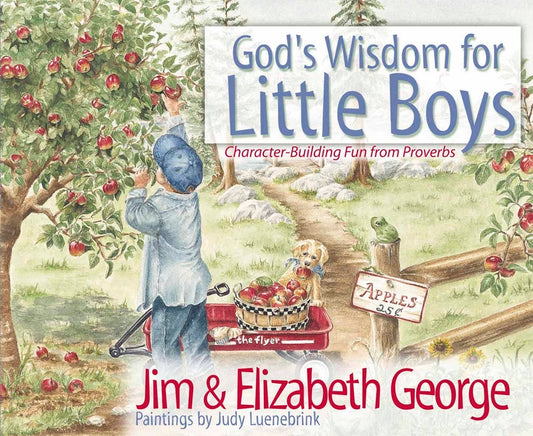 God's Wisdom for Little Boys: Character-Building Fun from Proverbs - Ingram
