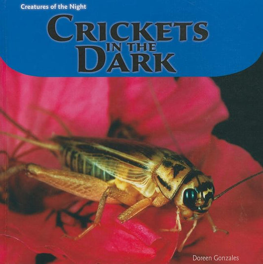 Crickets in the Dark - Ingram