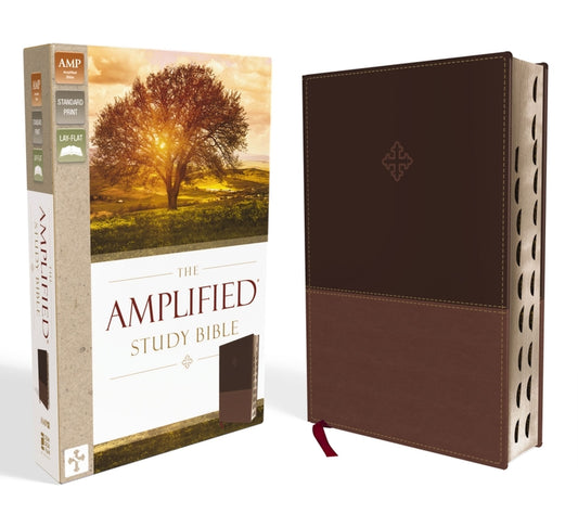 Amplified Study Bible, Imitation Leather, Brown, Indexed - Ingram