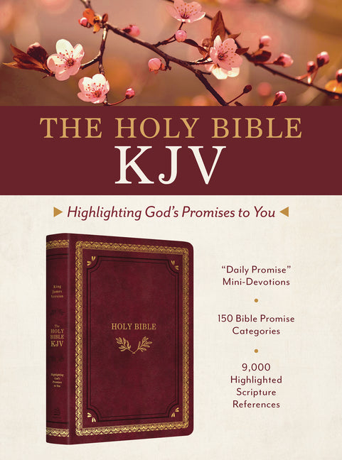 Holy Bible Kjv: Highlighting God's Promises to You [Crimson & Gold] - Ingram