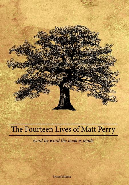Fourteen Lives of Matt Perry - Ingram