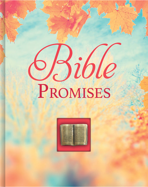 Bible Promises (Deluxe Prayer Book) - Ingram