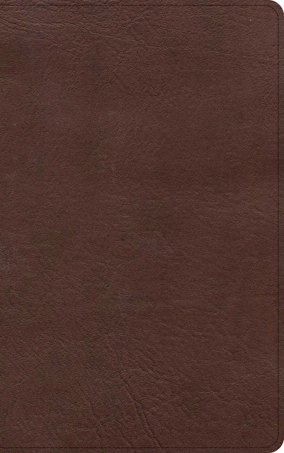KJV Single-Column Personal Size Bible, Brown Leathertouch - Ingram