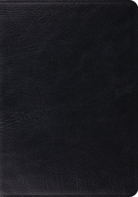 Study Bible-ESV - Ingram