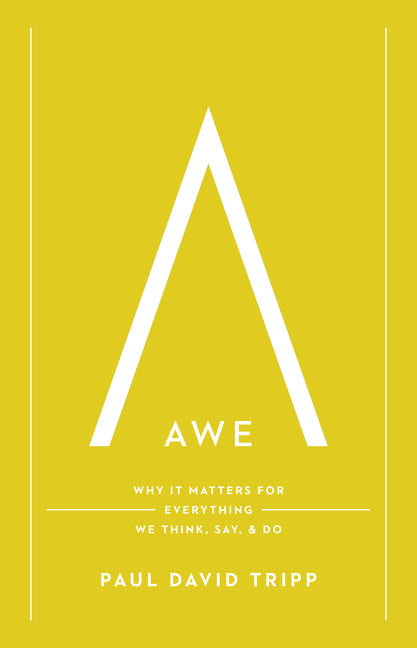 Awe: Why It Matters for Everything We Think, Say, and Do (with Study Questions) - Ingram