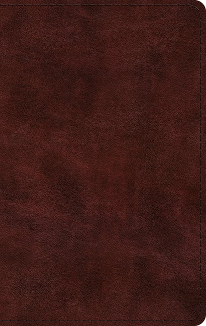 ESV Large Print Thinline Bible (Trutone, Mahogany) - Ingram