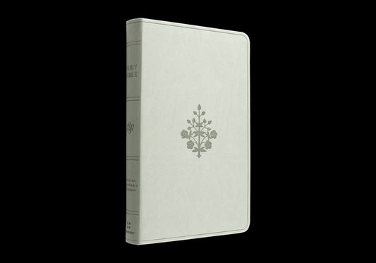 ESV Large Print Value Thinline Bible (Trutone, River Stone, Branch Design) - Ingram
