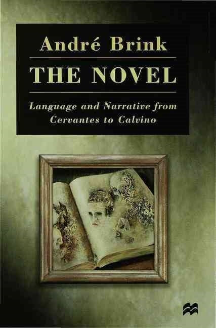 Novel: Language and Narrative from Cervantes to Calvino - Ingram