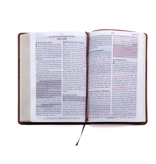 Santa Biblia de Promesas Reina Valera 1960 / Letra Gigante - 13 Puntos / Piel Especial Con Índice Y Cierre / Café // Spanish Promise Bible Rvr 1960 / - Ingram