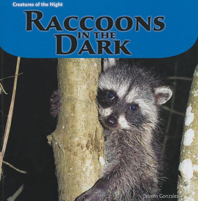 Raccoons in the Dark - Ingram
