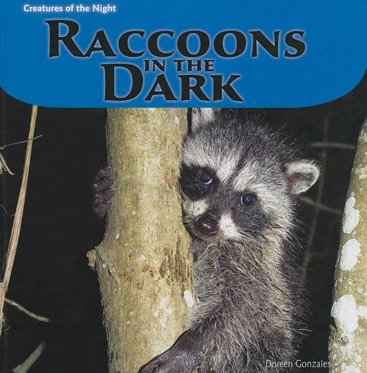 Raccoons in the Dark - Ingram