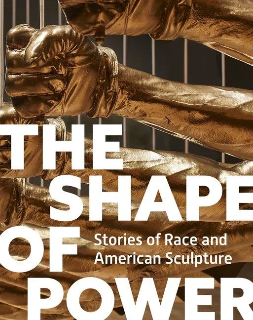 Shape of Power: Stories of Race and American Sculpture - stevensbooks