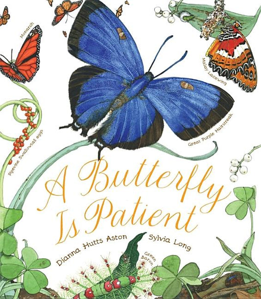Butterfly Is Patient - Ingram