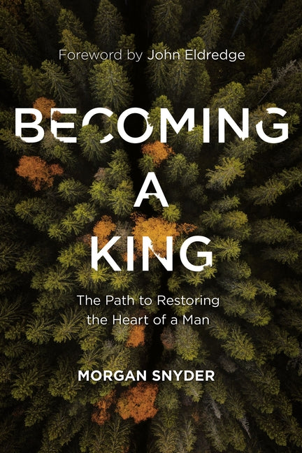 Becoming a King: The Path to Restoring the Heart of a Man - Ingram