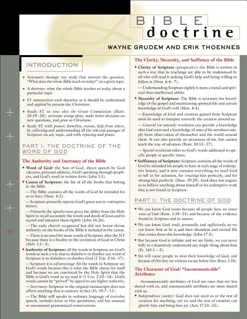 Bible Doctrine Laminated Sheet - Ingram