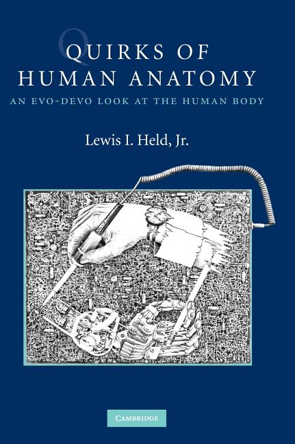 Quirks of Human Anatomy - Ingram