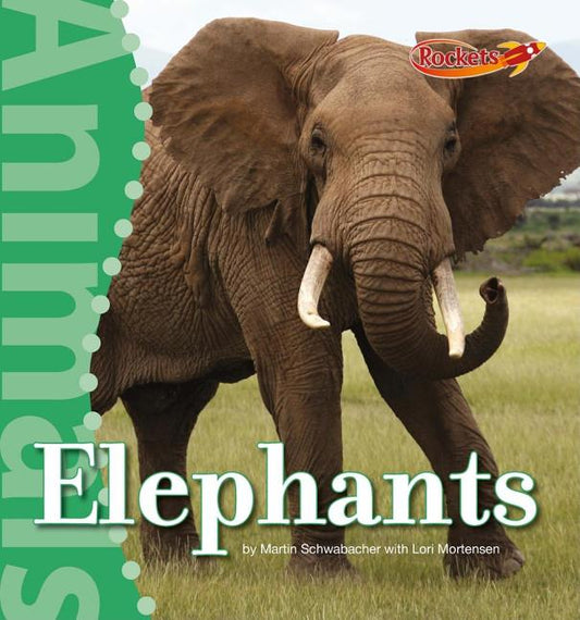 Elephants - Ingram