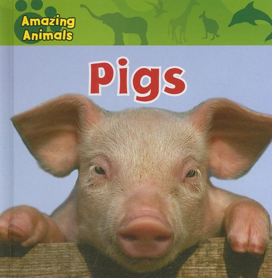 Pigs - Ingram