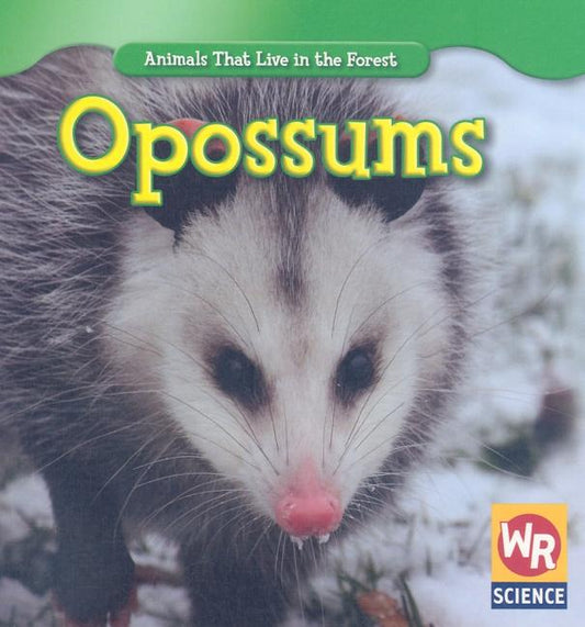 Opossums - Ingram