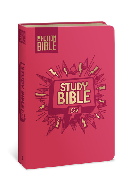 Action Bible Study Bible Esv, Leathersoft, Pink, Full Color (Premium) - Ingram
