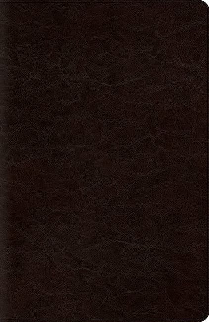 New Classic Reference Bible-ESV - Ingram