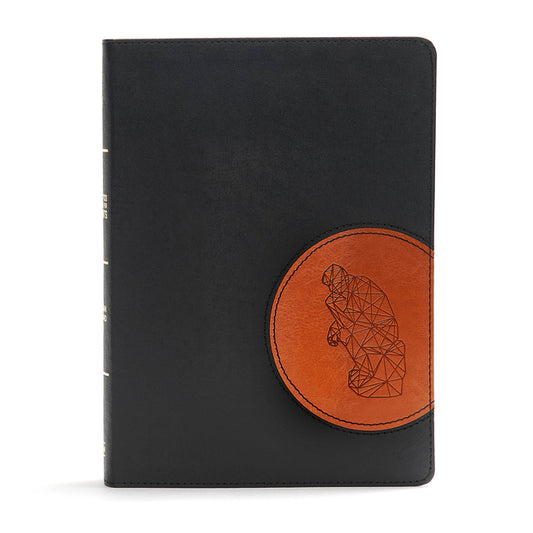 CSB Apologetics Study Bible for Students, Black/Tan Leathertouch: Black Letter, Teens, Study Notes and Commentary, Ribbon Marker, Sewn Binding, Easy-T - Ingram