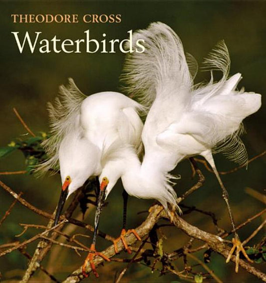 Waterbirds - Ingram