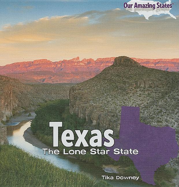 Texas: The Lone Star State - Ingram