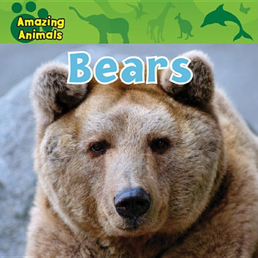 Bears - Ingram