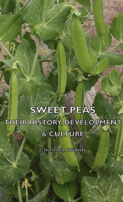Sweet Peas - Their History, Development & Culture - Ingram