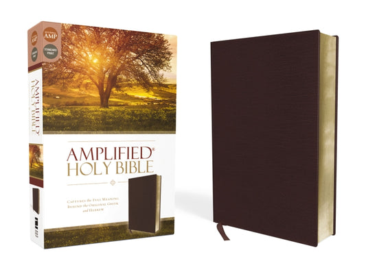 Amplified Bible-Am: Captures the Full Meaning Behind the Original Greek and Hebrew - Ingram