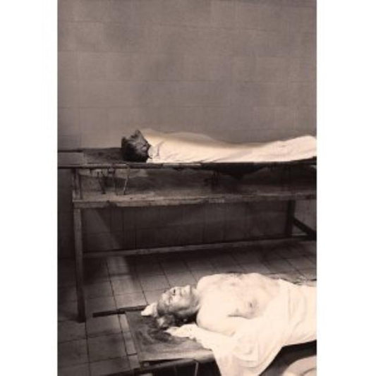 Paulo Nozolino: Bone Lonely - Ingram