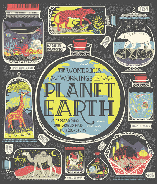 Wondrous Workings of Planet Earth: Understanding Our World and Its Ecosystems - Ingram