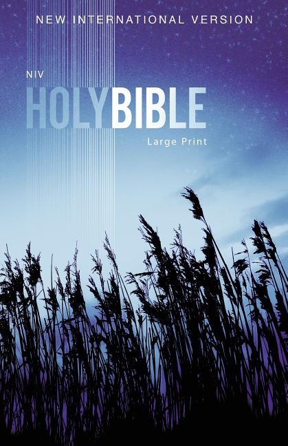 Outreach Bible-NIV - Ingram