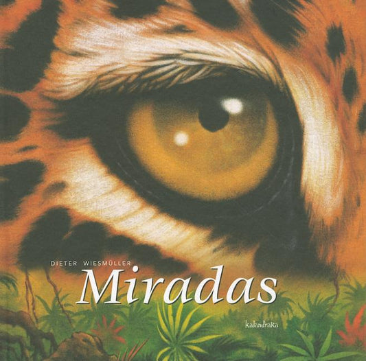 Miradas = In the Blink of an Eye - Ingram