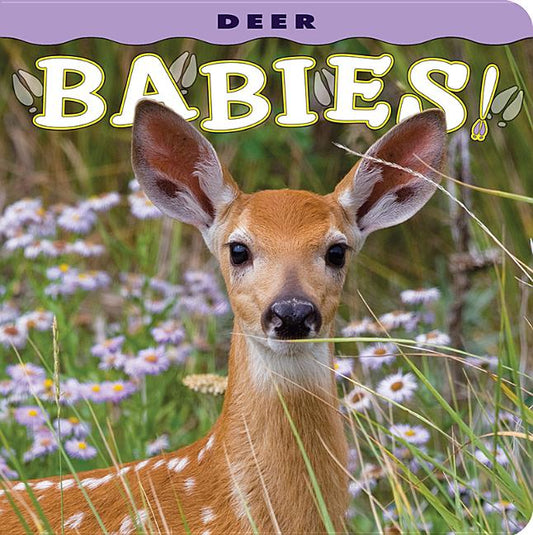 Deer Babies! - Ingram