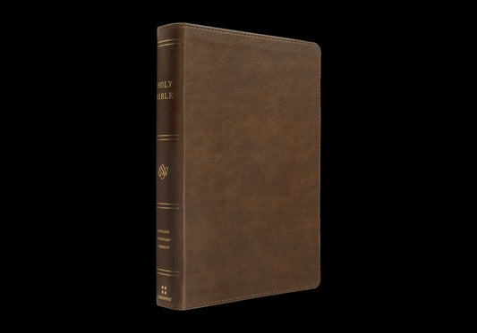 ESV Holy Bible: Dyslexia-Friendly Edition (Trutone, Brown) - Ingram