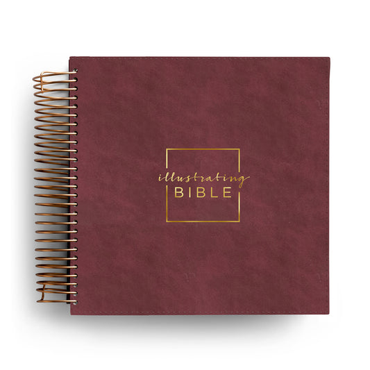 CSB Illustrating Bible - Cranberry - Ingram