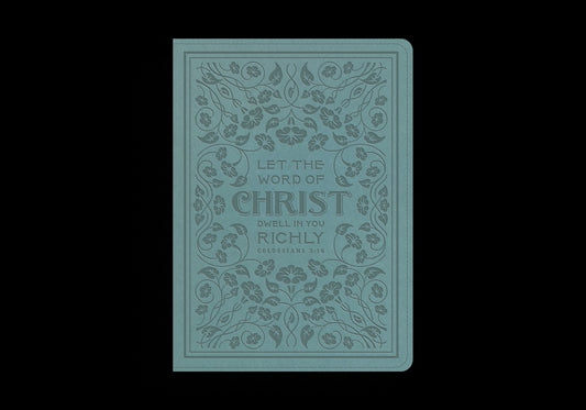ESV Illuminated(tm) Bible, Art Journaling Edition (Trutone, Paris Sky, Colossians 3:16 Design) - Ingram