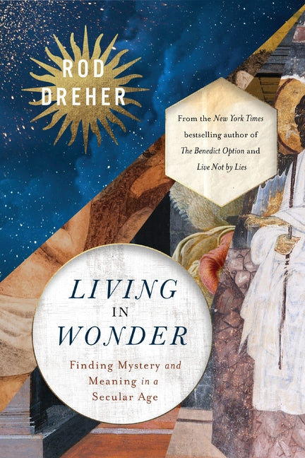 Living in Wonder: Finding Mystery and Meaning in a Secular Age - Ingram