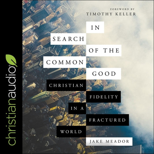 In Search of the Common Good: Christian Fidelity in a Fractured World - Ingram