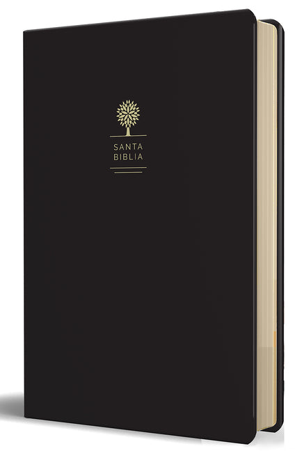 Santa Biblia Rvr 1960 - Letra Grande, Imitación Piel Negra Con Imágenes de Tierra Santa / Spanish Holy Bible Rvr 1960 - Large Print - Ingram